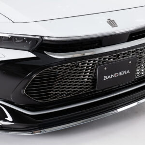 Grille Garnish CROWN CROSSOVER